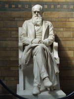 Charles Darwin, Centrall Hall, Natural History Museum, London