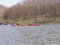 a tallkozs