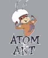 Atom Anti