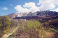 1998