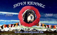SHIVA KENNEL