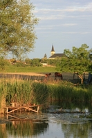 Az n falum