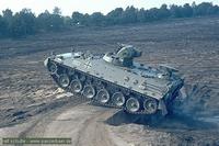 Marder1