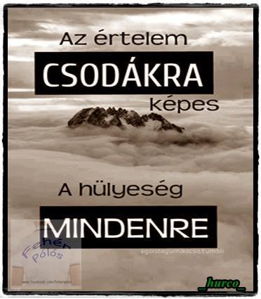 Szolasok Kozmondasok Gyujtemenye Index Forum