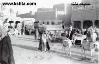 riyadh rgi