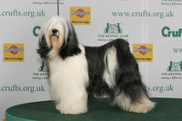 CRUFTS TT BOB 2008