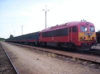 17203 Martf 2005.06.19.