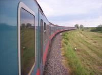 17203 Tiszateny bejrat 2005.06.19.