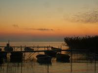 Fred s Tihany kzt fluton 