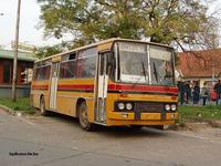 BPT-493