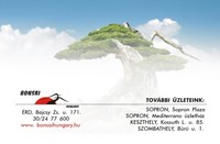 Bonsai Hungary