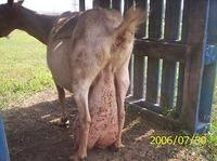 az anyuk�juk t�gye:))