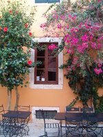 Hibiszkusz s Bougainvillea...