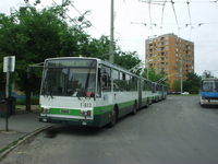 T-613, Makkoshz