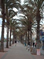 platja de palma