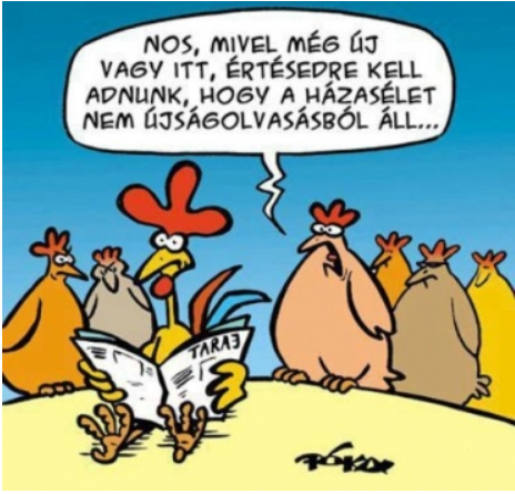 a kakasod túl nagygoth anális pornó