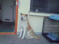 Ichi