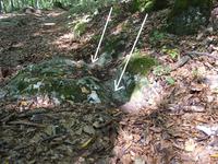 Szek�rnyomok a k�be v�s�dve