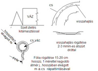 foliar