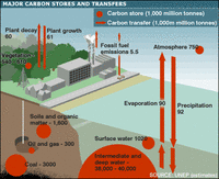 carbon_cycle_bbc