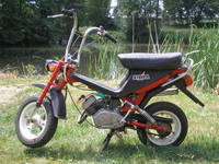Jawa Stella
