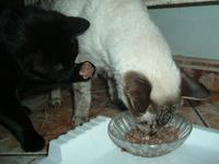 Igy lopunk m�st�l kaj�t