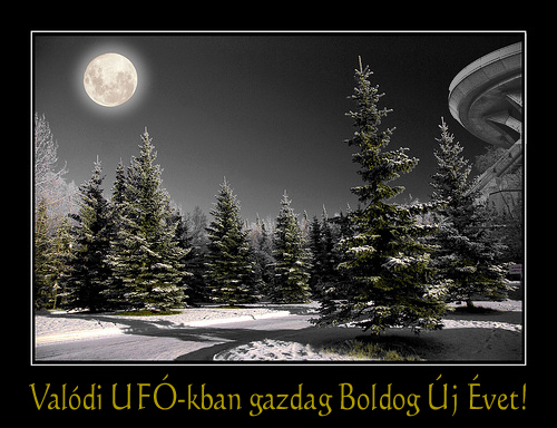 Sgu randevú