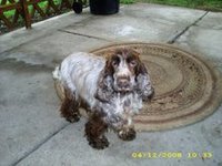 Missy