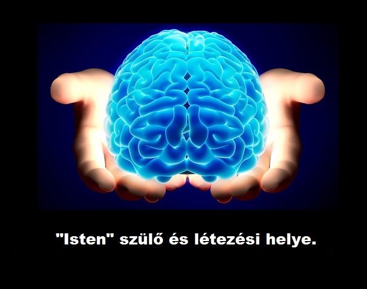 Brain 103. Мозг трудится.