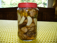 fokhagymás gomba