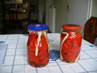 tulipán paprika