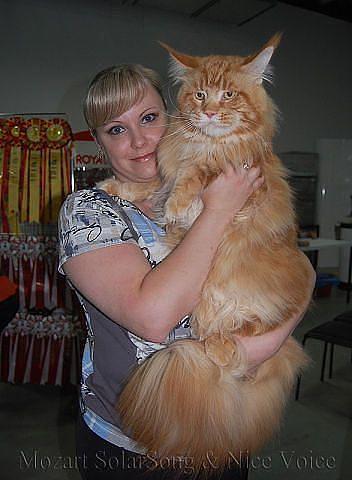 klingon társkereső