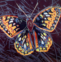 Andy Warhol: Butterfly  (1983)