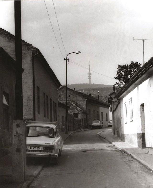 ce inseamna cuvantul társkereső