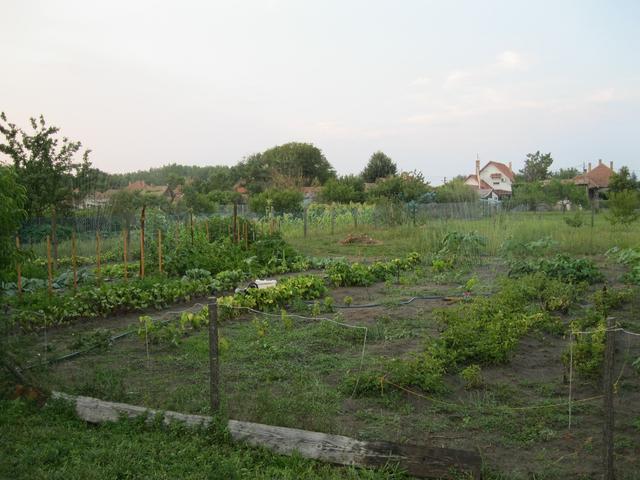 Index Fórum