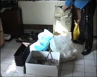 vet1