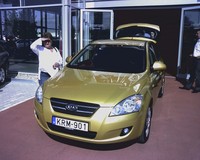 Dakar Yellow