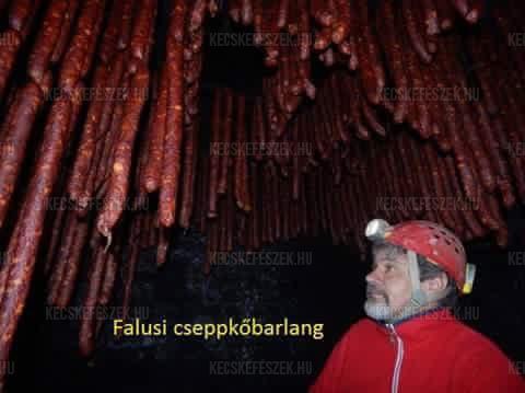 fogyni gyorsan nő csapágyi