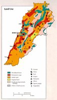 libanon mezgazd