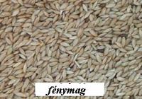 f�nymag mag