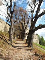 Vn fk llnak rt a vrkapuhoz vezet szerpentinen