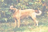 az egyik - aki m�r n�hai