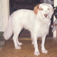 a m�sik, aki most is vel�nk �l