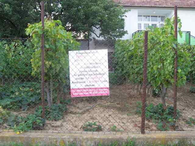 Holiday Club Hungary Index Forum