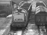 M40 203, Krmend, 2005.02.18