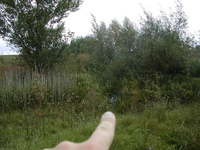 a t fell a ndasban arra tovbb