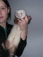 kisman