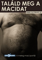www.gaybears.hu  - A meleg maci portl s trskeres