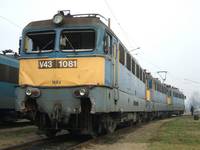 V43-1081_b