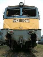 V43-1081_d
